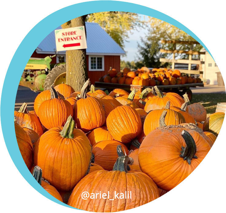 WalCo Pumpkins - Blog