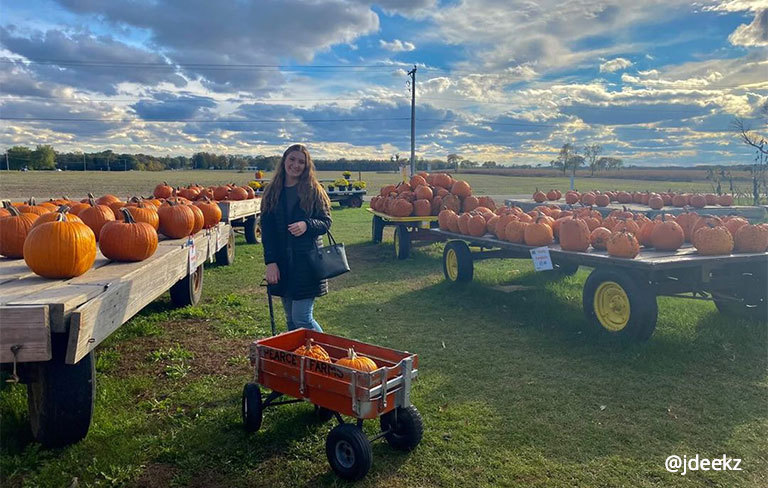 pearce's pumpkin picking - walco blog